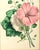 Lessons From the Vegetable World: Robert Mackenzie Stark Botanical Prints 1858 For Sale - Image 13 of 13