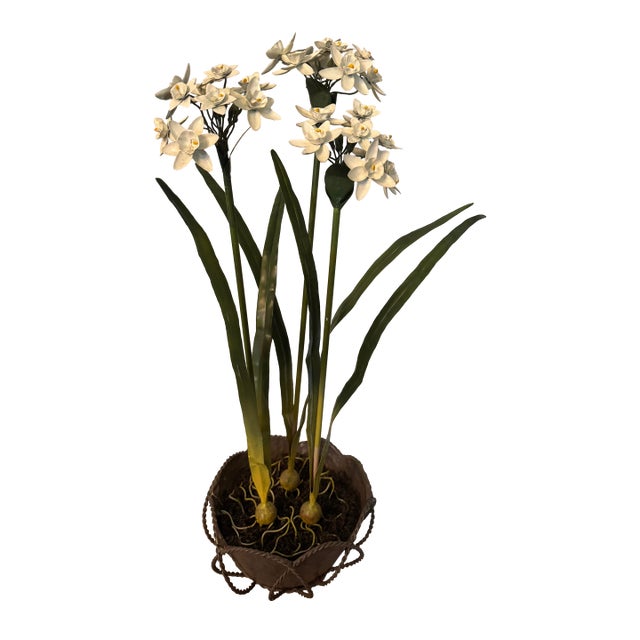 Vintage Mid-Century White Tole Narcissus Floral Arrangement Botanical Paperwhites Sculpture Circa 1950s For Sale