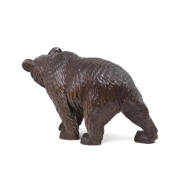 Black Forest Glass Eye Bear, Germany, 1920s For Sale - Image 4 of 9