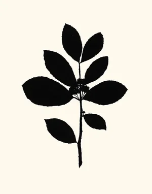 Tea Tree, Giclée Print by Philippa Katz