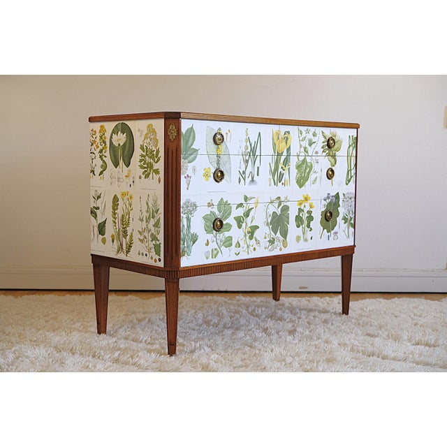 1940s Gustavian Chest attributed to Josef Frank from CAM Lindman Nordens Flora, Sweden, 1940s For Sale - Image 5 of 8