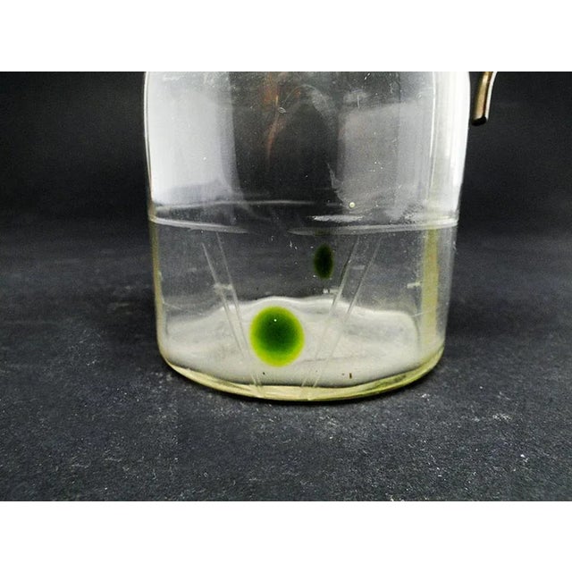 Art Nouveau Milk Jug, Former Austro-Hungarian Empire, Early 1900s For Sale - Image 6 of 8