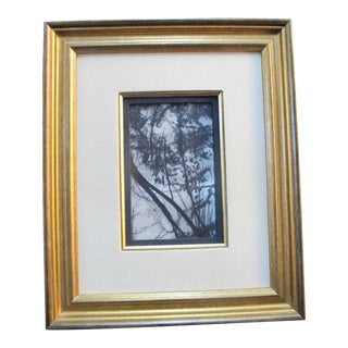 Framed Chinese Natural Dream Stone Nature Art - Black & White Contrasting Trees For Sale
