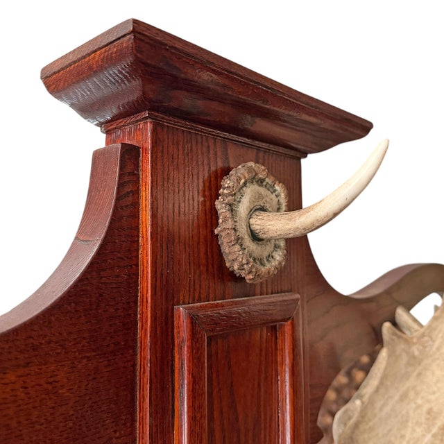 Vintage Fallow Deer Antler Hall Tree For Sale - Image 10 of 15
