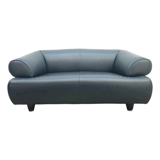 DS 91 Sofa in Leather from de Sede For Sale