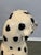Large Mid-Century Dalmatian Dog Sculpture Hand-Painted Ceramic Figure For Sale - Image 9 of 12
