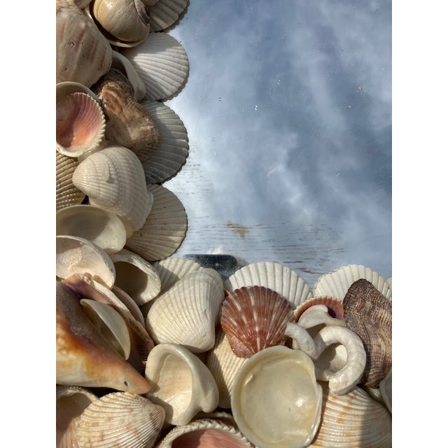 Shell Mirror For Sale In Boston - Image 6 of 6