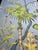 Paper Chinoiserie Tropical Hand-Painted Wallpaper Panels, Soft Blue Background With Floral & Palm Mural, Set of 6 For Sale - Image 7 of 7