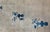 Art Deco Early 20th Century Chinese Art Deco Rug For Sale - Image 3 of 15