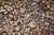 Early 20th Century Persian Bakhtiari Oversize Snake Rug - 13'7" x 22' For Sale - Image 12 of 18