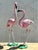 Add a whimsical touch of coastal charm to your décor with this stunning pair of vintage cast iron flamingos. Crafted with...