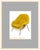Eero Saarinen Womb Chair Print - Mid-Century Still Life Photograph (11x14 Framed Print) For Sale