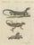 Bertuch, Monitor, Basilisk and Flying Dragon, 1805, Print For Sale - Image 12 of 12