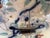 Large Mid 19th Century Unmarked Polychrome Platter For Sale - Image 12 of 18