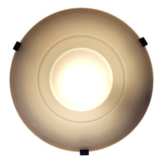 Vintage Ceiling Light by F. Fabbian, Italy, 1980s For Sale