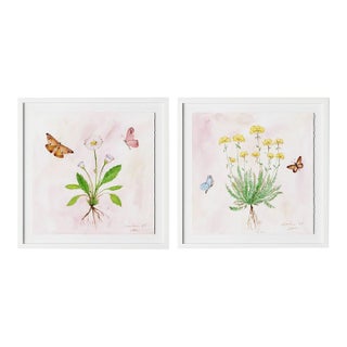 Blush Botanical Diptych by Lia Burke Libaire in White Frame, Small Art Prints on Paper For Sale