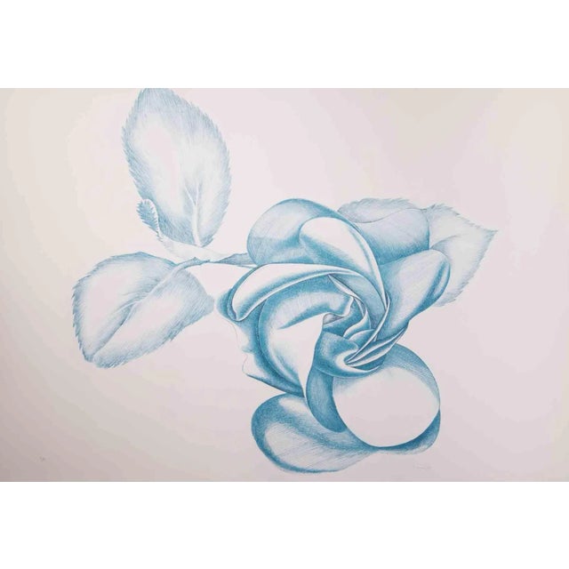 Blue Rose is an original contemporary artwork realized by Giacomo Porzano in 1970s. Colored etching. Hand-signed on the...