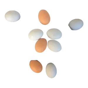 Tromp L'Oeil Porcelain Chicken's Eggs - Set of 9