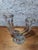 Art Deco Double Candlestick in Molded Pressed Glass, 1930, Set of 2 For Sale - Image 4 of 7