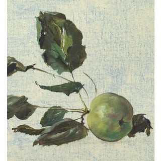 Gabryela Wasowicz, Wild Apple Branch I, 2019, Oil on Canvas For Sale
