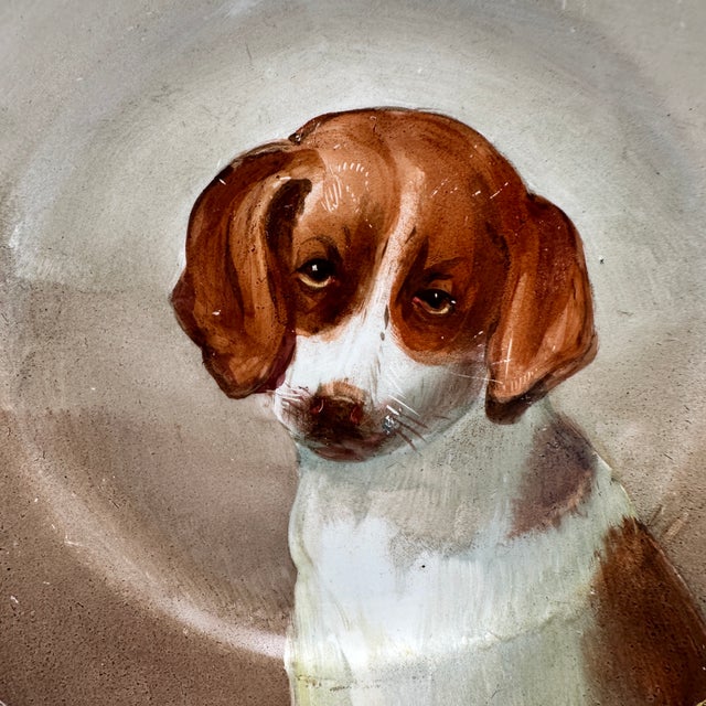 Rare antique French Creil et Montereau Terre de Fer plate featuring a charming hand-painted portrait of a brown and white...