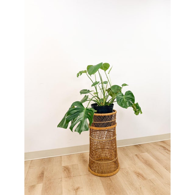 Wood Vintage Round Wicker Plant Stand Woven Boho Coastal Decor Accent Rattan Pedestal For Sale - Image 7 of 9