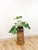 Wood Vintage Round Wicker Plant Stand Woven Boho Coastal Decor Accent Rattan Pedestal For Sale - Image 7 of 9