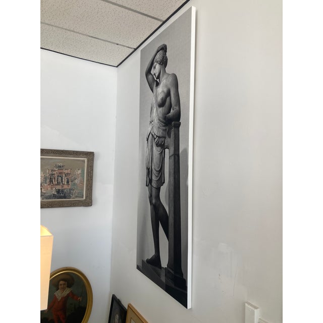 William Gray Harris Photograph on Canvas “Wounded Amazon “ artist’s proof. Very large canvas on a deep canvas wrapped frame.