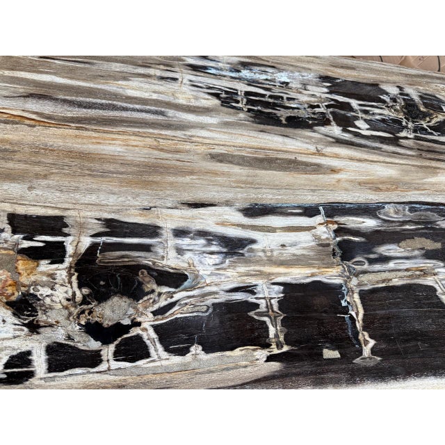 Andrianna Shamaris Live Edge Petrified Wood Dining Table For Sale In New York - Image 6 of 18