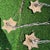 Vintage Gold Metal and Crystal Collection of Baby Pendant Lights- Set of 9 For Sale In Atlanta - Image 6 of 7
