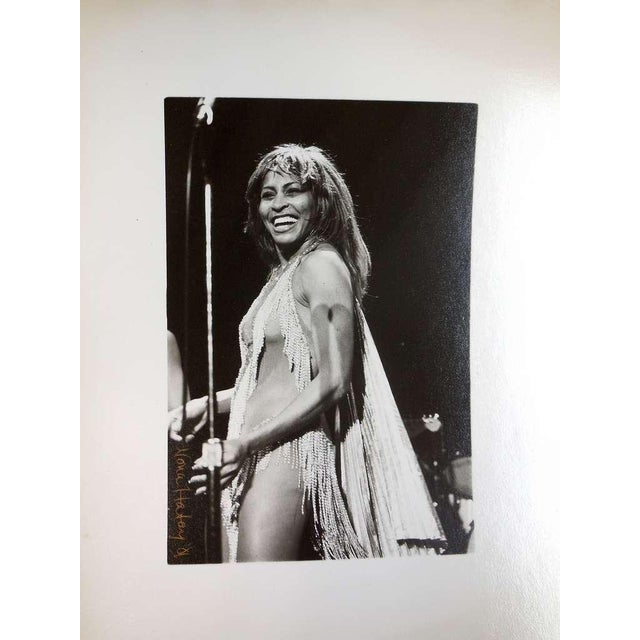 Hatay is a visual artist, a healer and a former Rock and Roll photojournalist. Born in Scotland of a Hungarian...