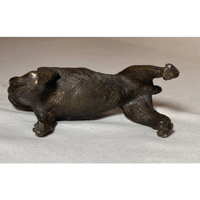 Bronze Antique Austrian Miniature Bronze Dog Bulldog Statue Figure Sculture Realistic For Sale - Image 8 of 12