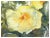 Impressionist Yellow and Red Roses For Sale - Image 3 of 4