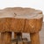 Late 19th Century Rustic Slab Wood Round Coffee Table, China Circa 1890 For Sale - Image 5 of 9
