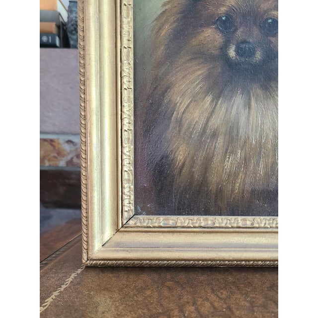 Small Antique 19th Century Oil Painting Portrait of a Pomeranian Dog For Sale - Image 10 of 14