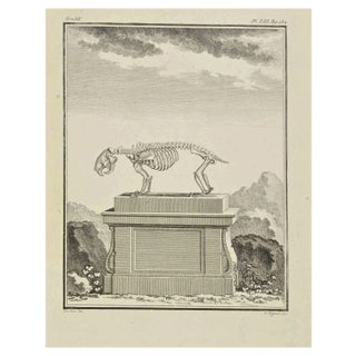 Louis Legrand, The Skeleton, Etching, 1771 For Sale