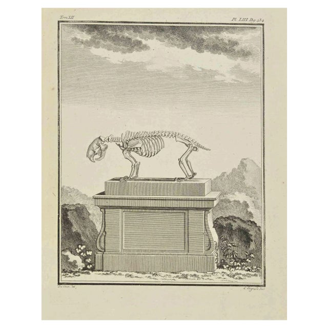 Louis Legrand, The Skeleton, Etching, 1771 For Sale