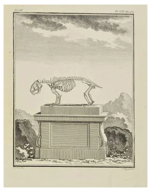 Louis Legrand, The Skeleton, Etching, 1771