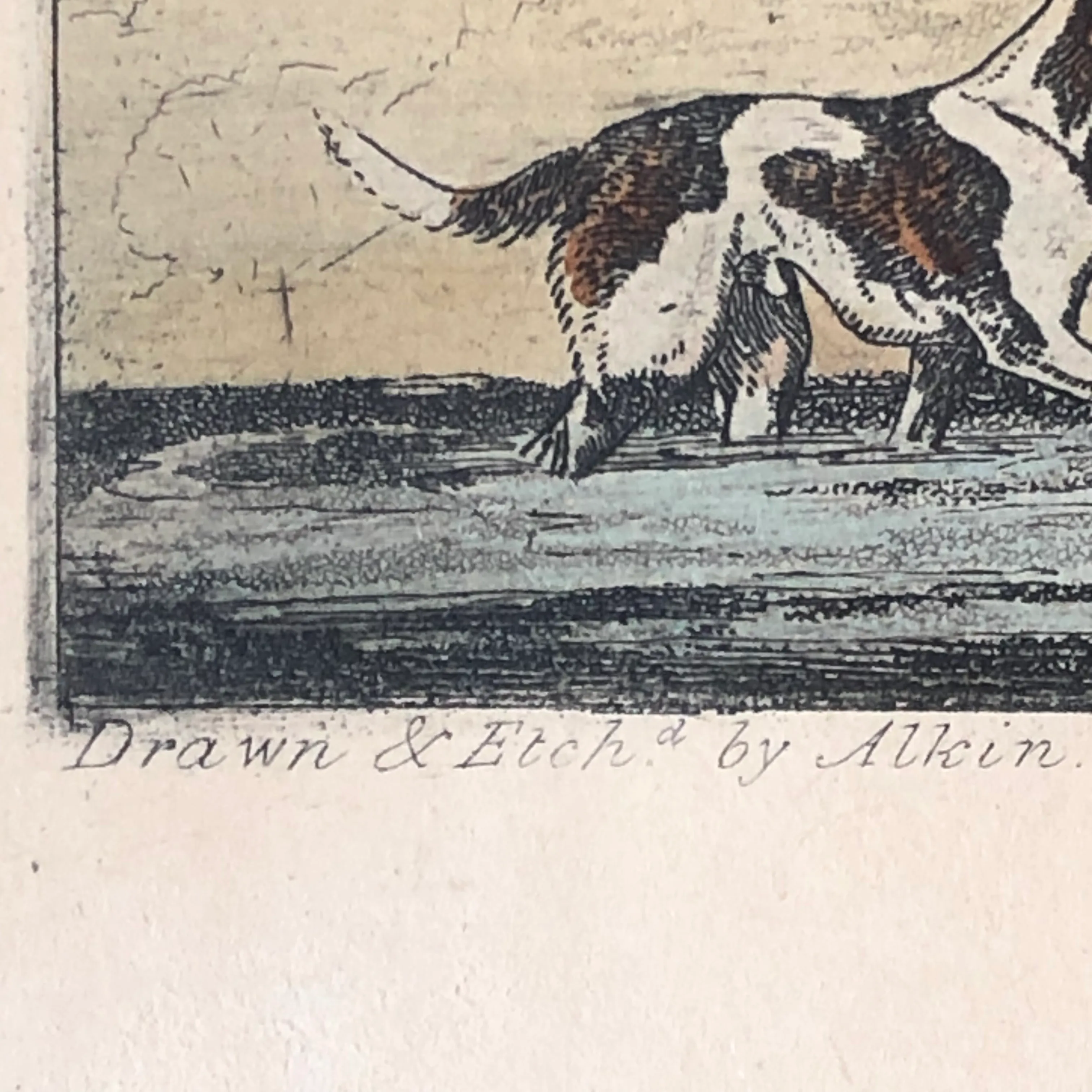 Hunting (1885) - Books-A-Million