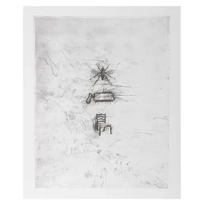 Donald Saff - Fly Iron Chair Etching