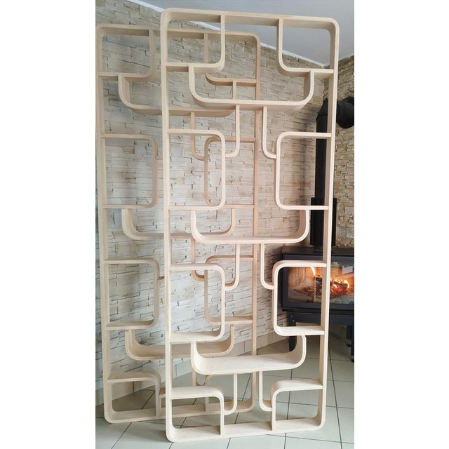 Mid-Century Room Dividers attributed to Ludvik Volak for Drevopodnik Holesov, Czech, 1960s, Set of 2 For Sale - Image 10 of 18