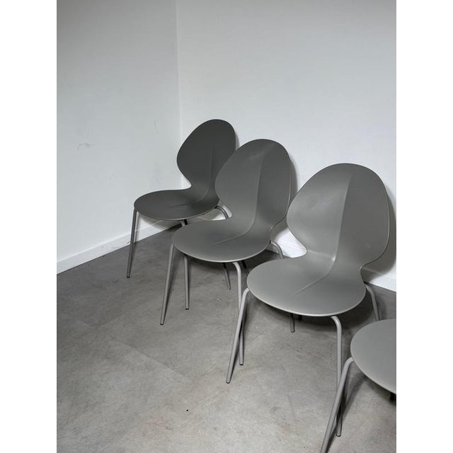 Basil Dining Chairs from Calligaris, Set of 4 For Sale - Image 3 of 6
