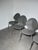 Basil Dining Chairs from Calligaris, Set of 4 For Sale - Image 3 of 6