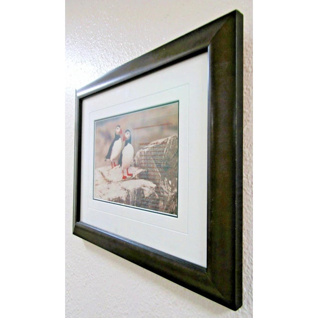 Wood 1980s Signed Thomas Mangelsen Puffin Pair Limited Edition 758/950 Matted and Framed For Sale - Image 7 of 10