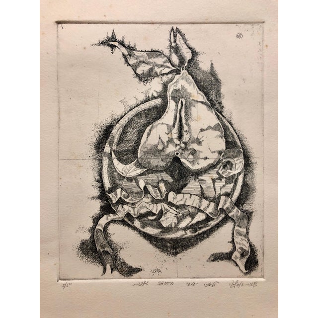 20.75x14.5 sheet size. 9.5x7.75 image size Shlomo Zafrir is active/lives in Israel, France. Shlomo Zafrir is known for...