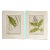 Antique 1885 English Chromolithograph Ferns - a Pair For Sale