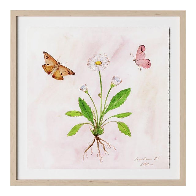 Blush Botanical 1 by Lia Burke Libaire in Maple Frame, Small Art Print on Paper For Sale