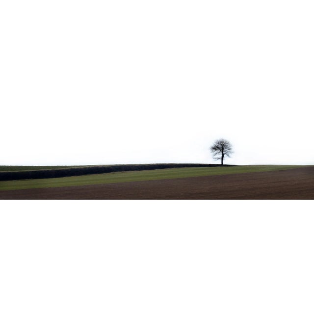 Contemporary Laurent Campus, Loneliness, 2011, Archival Pigment Print For Sale - Image 3 of 5