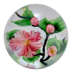 Daniel Salazar Lundberg Studios Art Glass Cherry Blossom Paperweight