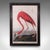 This is a large vintage flamingo picture. An English, framed print engraving of wildlife interest originally by J.J....
